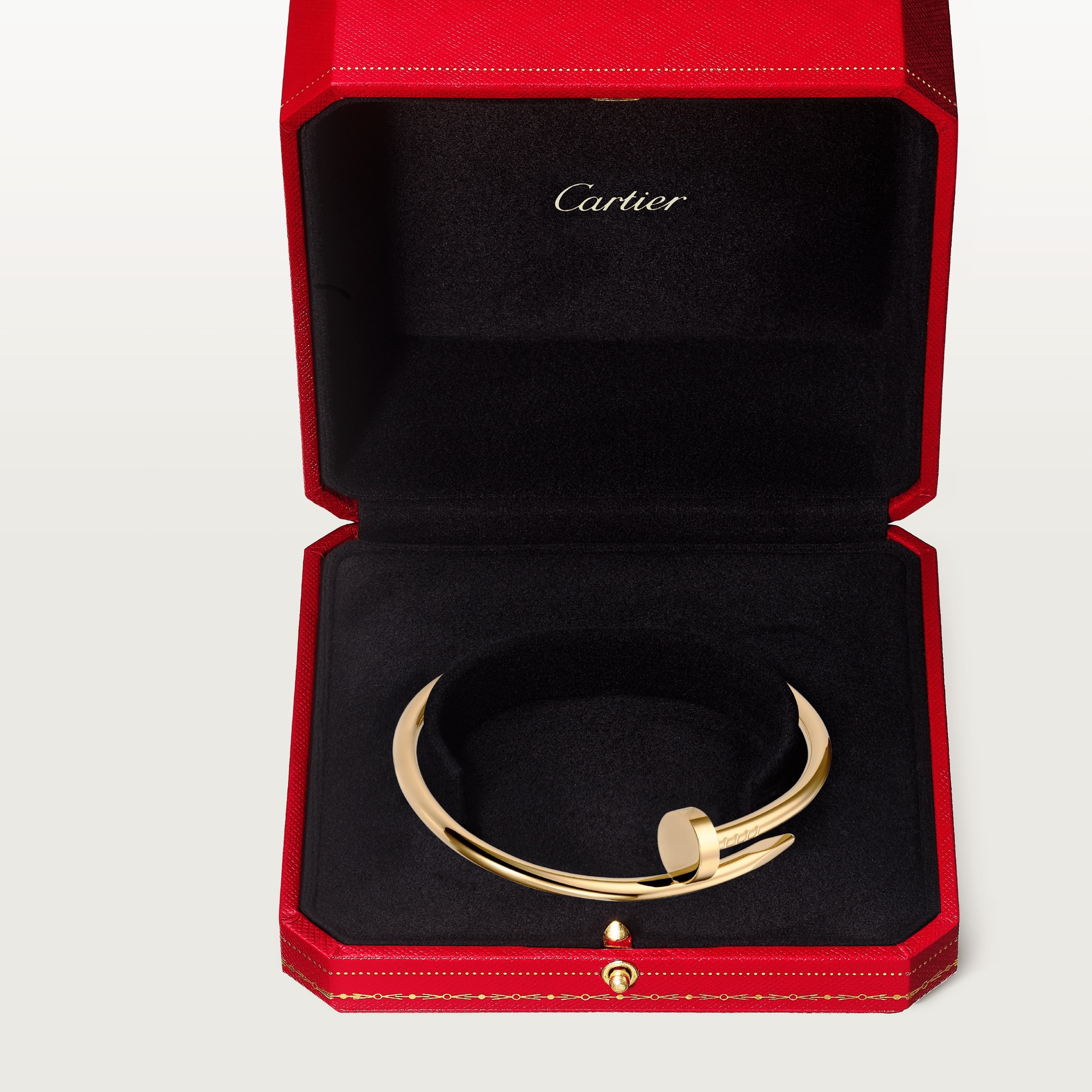 Фото браслета Cartier Juste Un Clou 1010