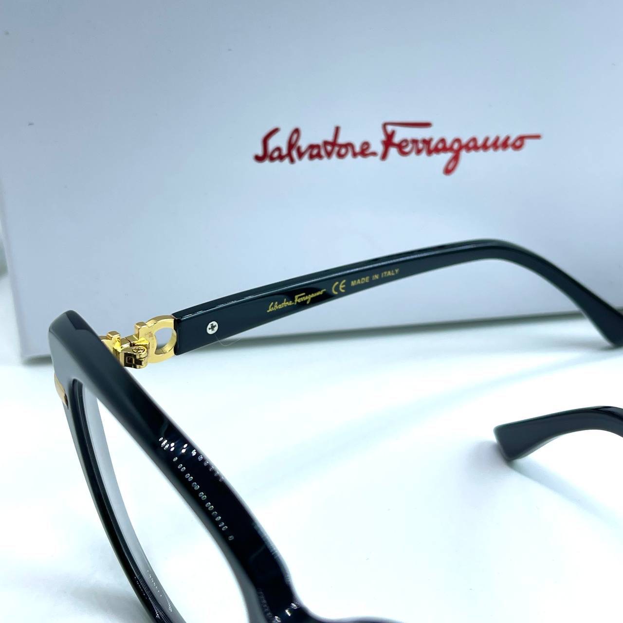 Фото Очки Salvatore Ferragamo B2454