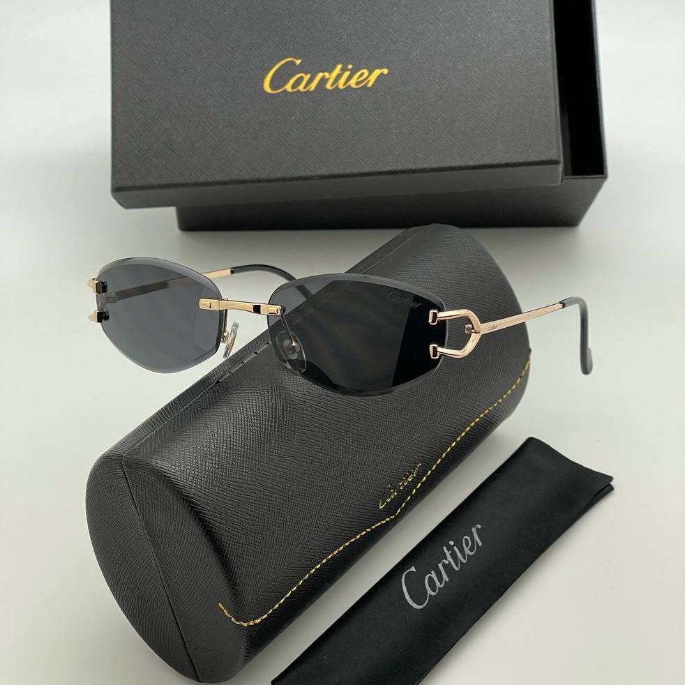 Фото Очки Signature C de Cartier B3973