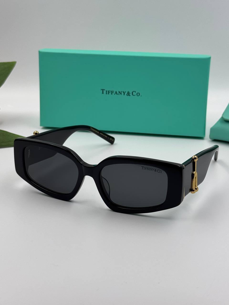Фото Очки Tiffany & Co HardWear S5594