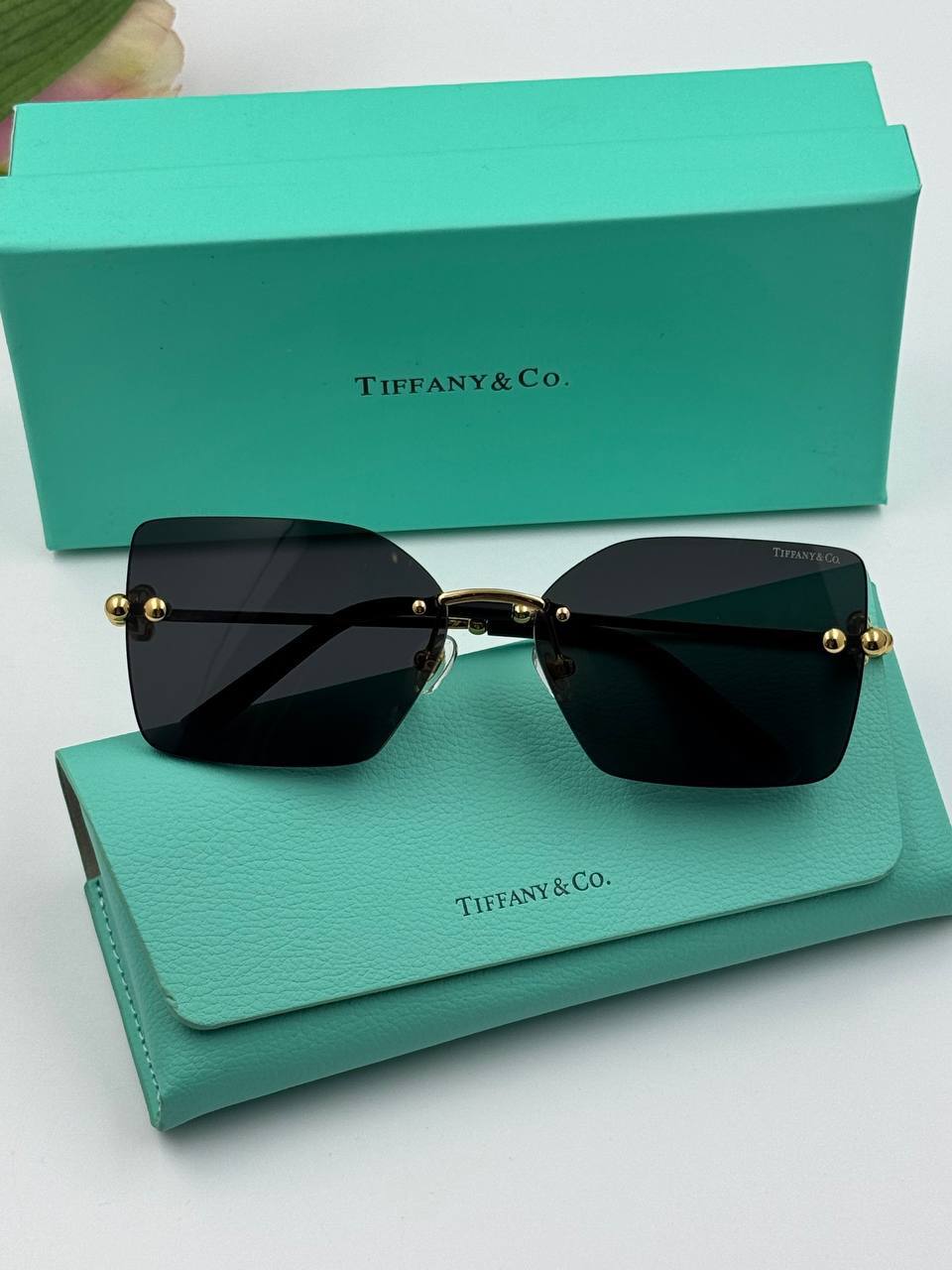 Фото Очки Tiffany & Co HardWear S5599