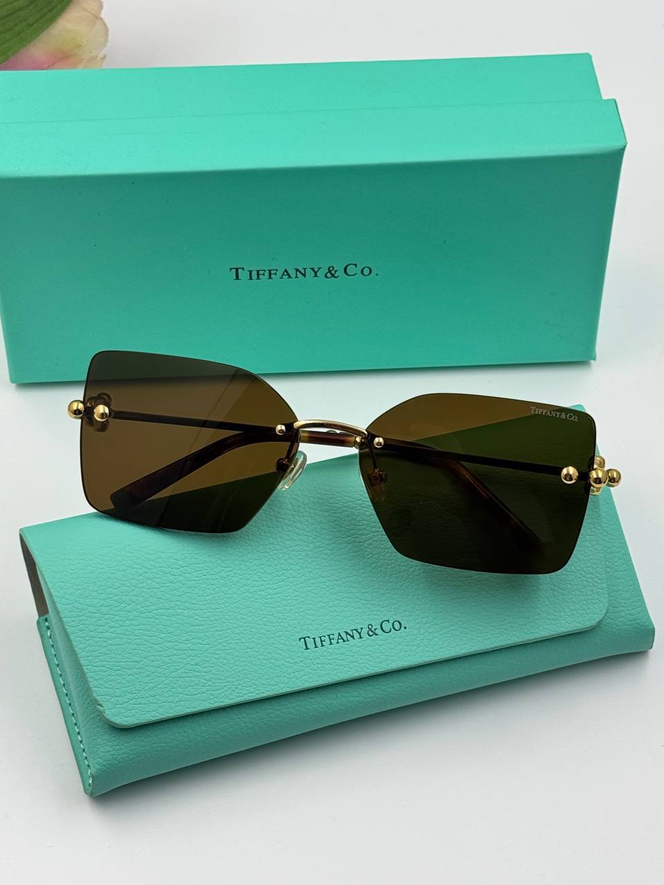 Фото Очки Tiffany & Co HardWear S5600