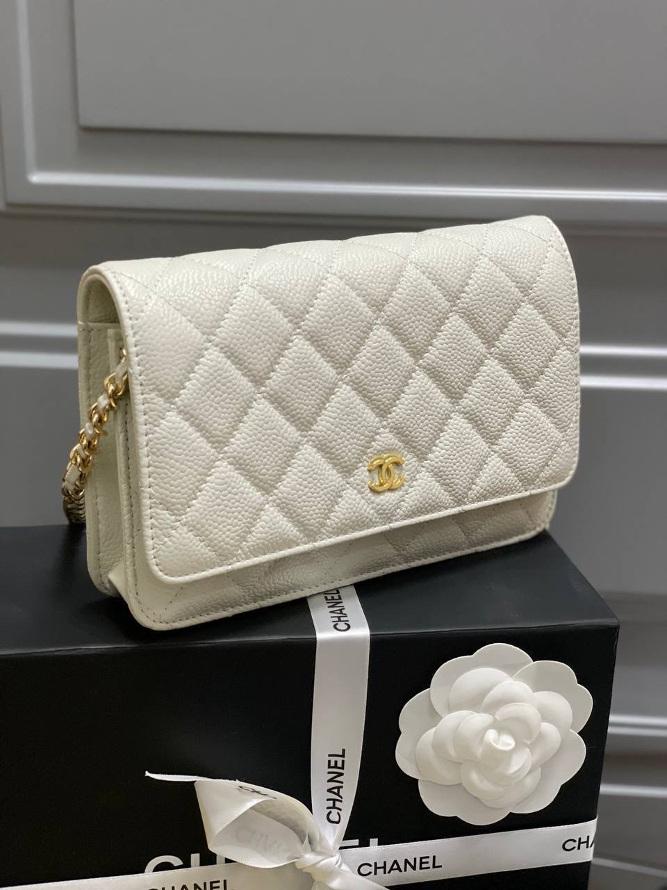 Фото Сумка Chanel WOC B4574