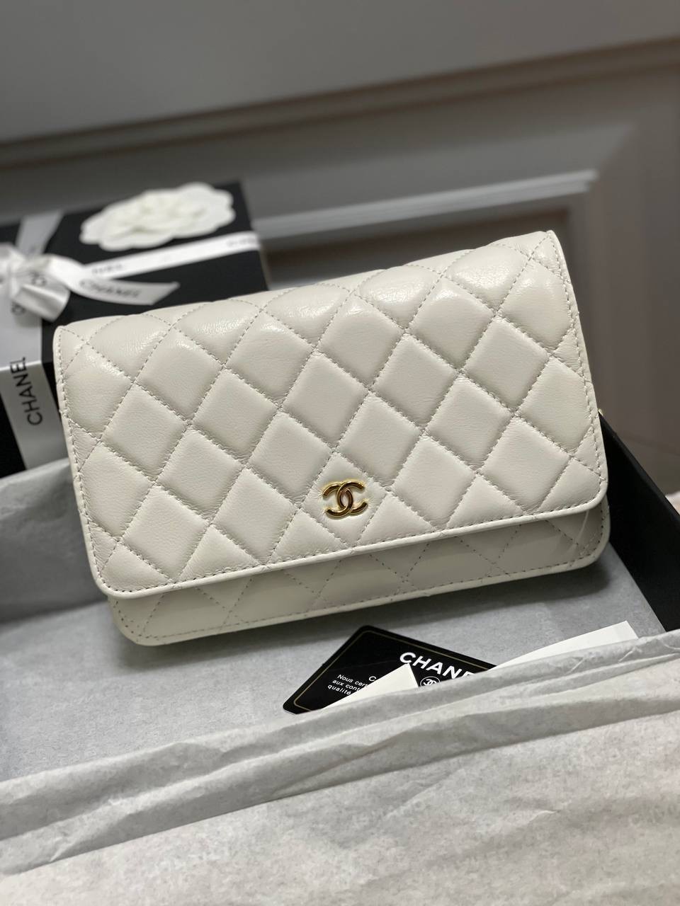 Фото Сумка Chanel WOC B4573
