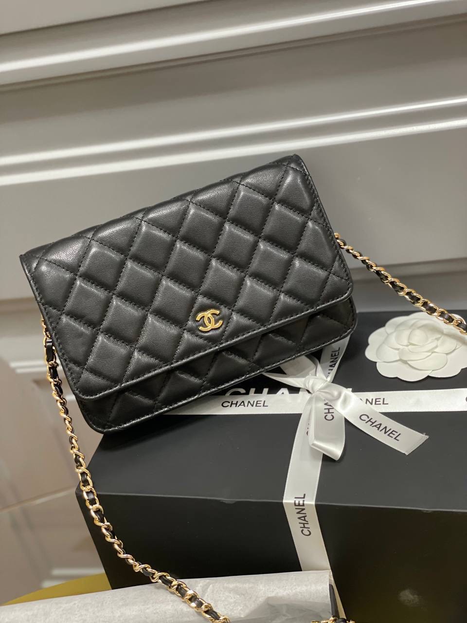 Фото Сумка Chanel WOC B4571