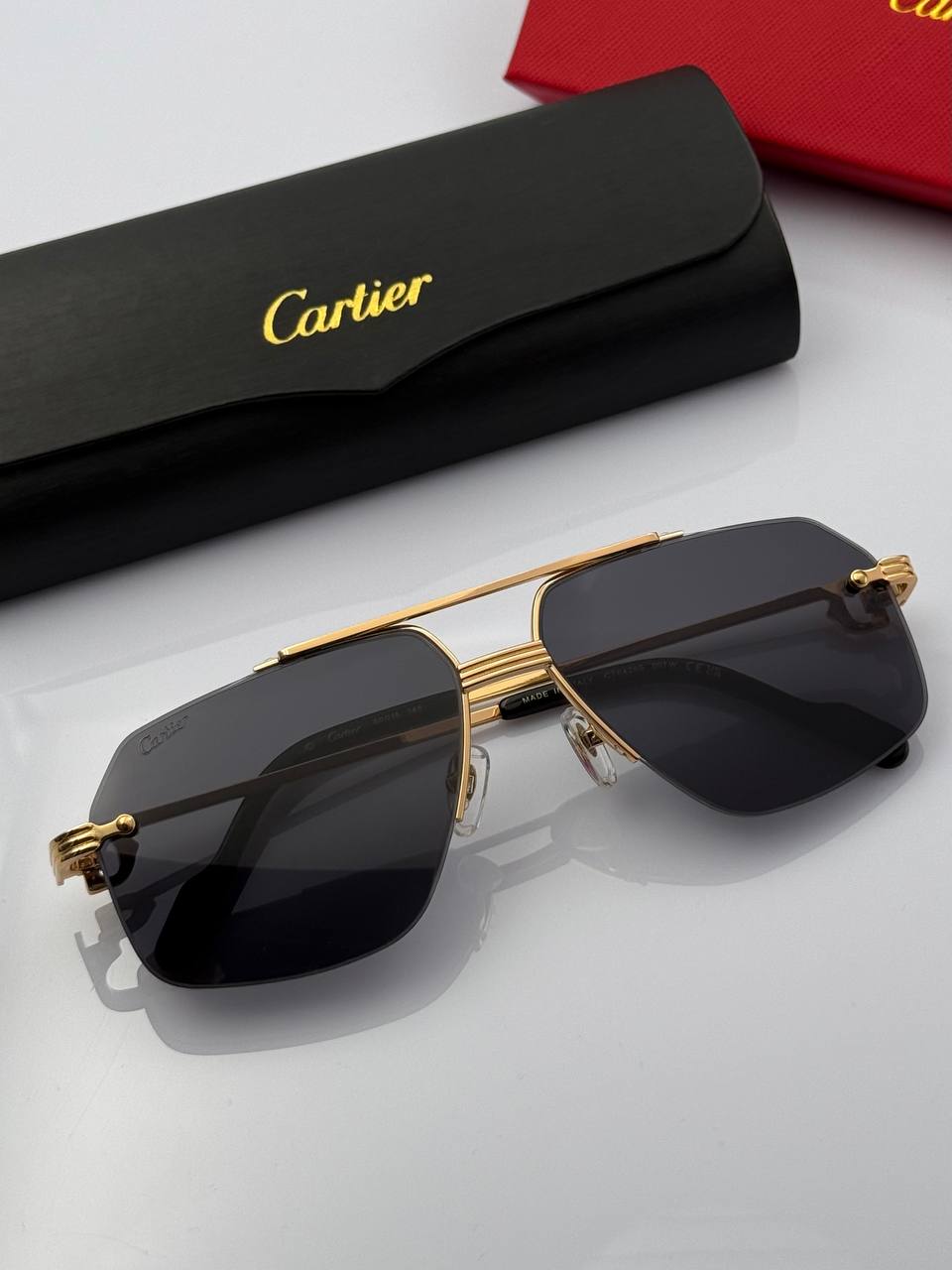 Фото Очки Premiere de Cartier S6401
