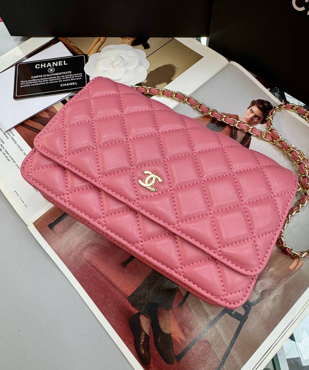 Фото Сумка Chanel WOC S8206