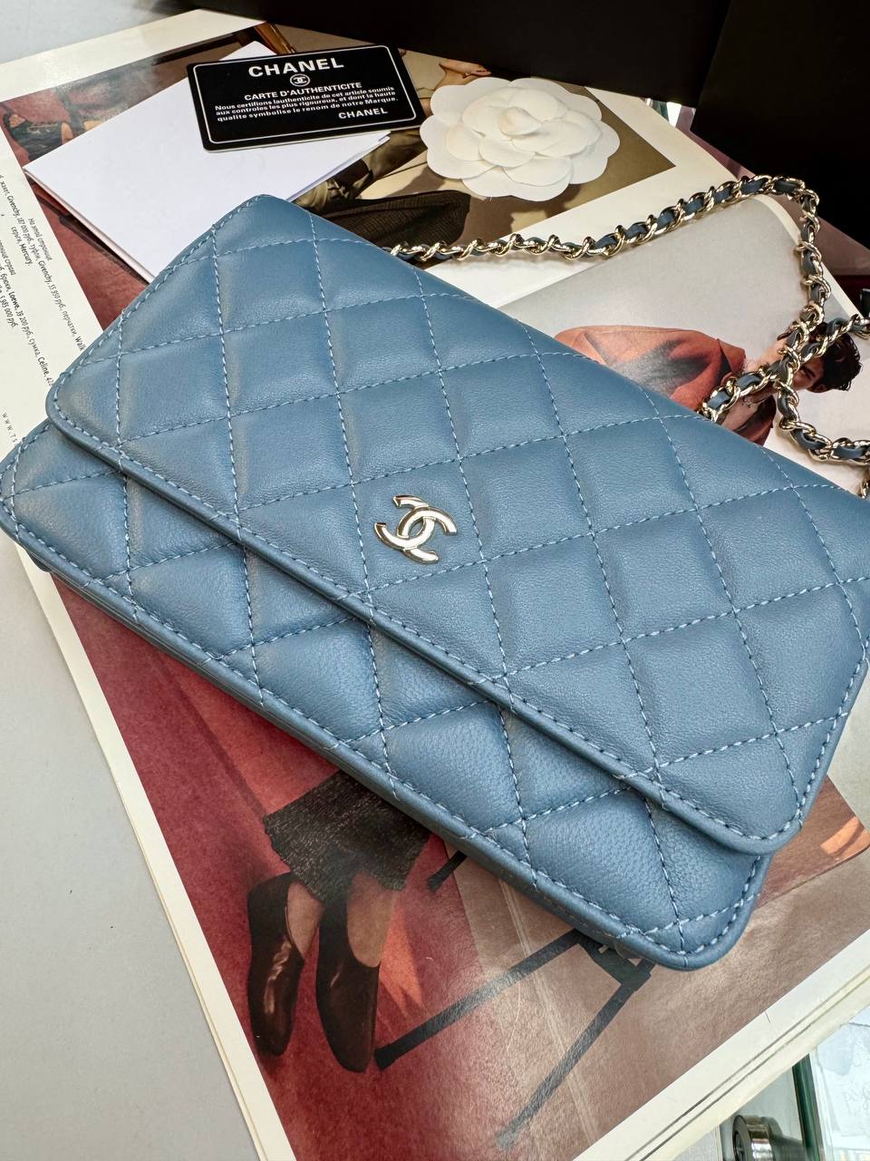 Фото Сумка Chanel WOC S8208