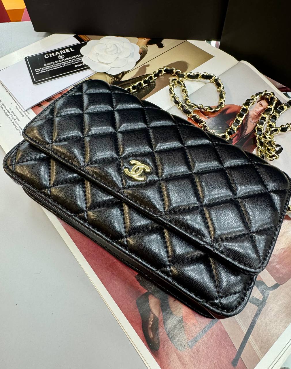 Фото Сумка Chanel WOC S8209