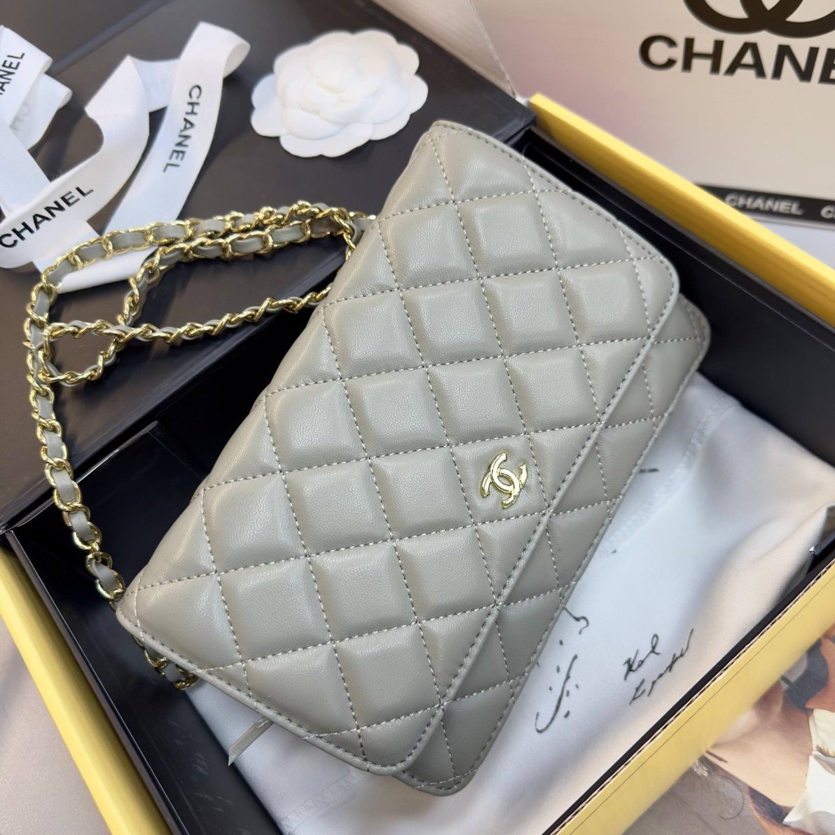 Фото Сумка Chanel WOC S8210