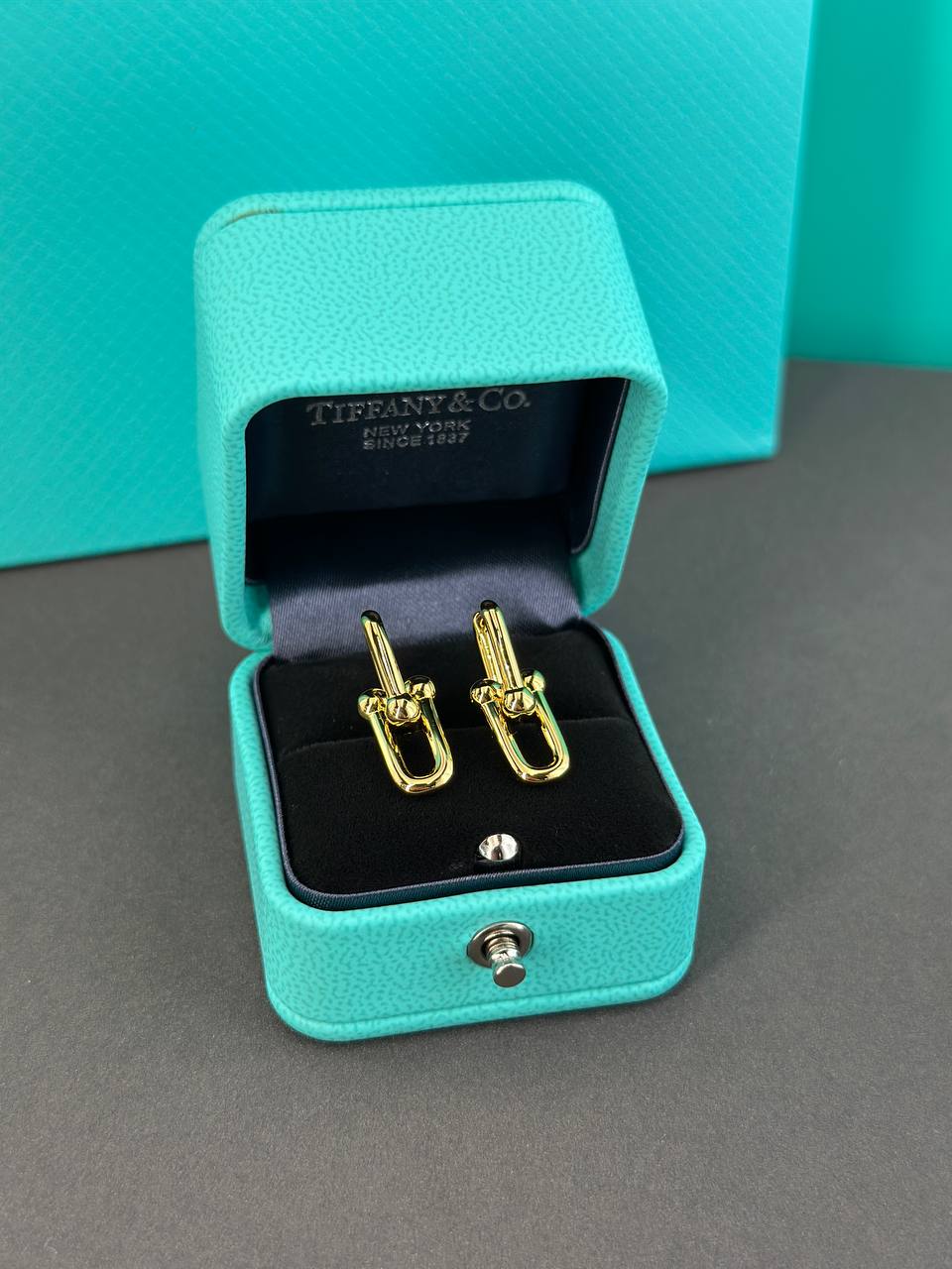 Фото Серьги Tiffany & Co HardWear S8521