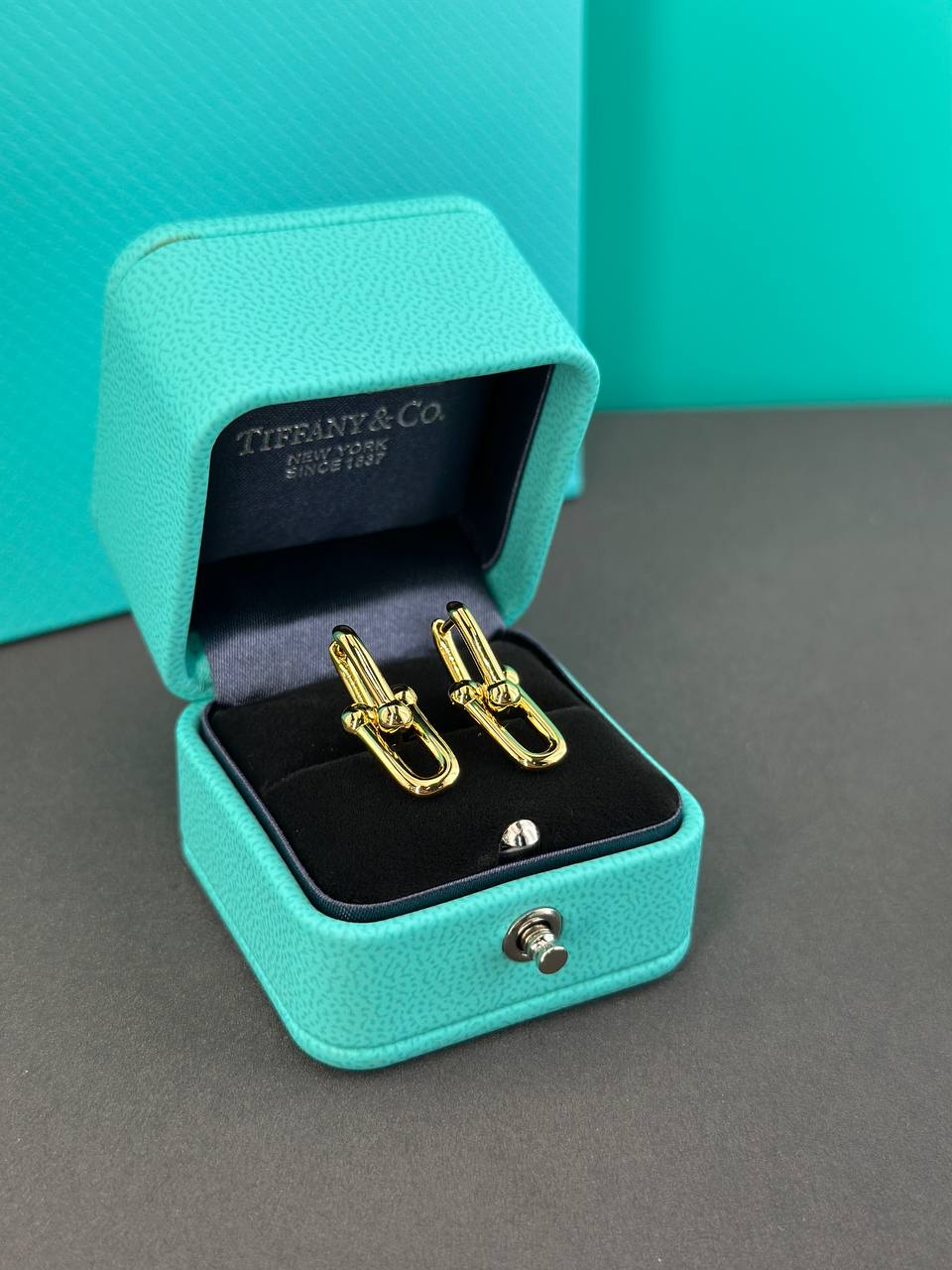 Фото Серьги Tiffany & Co HardWear S8521