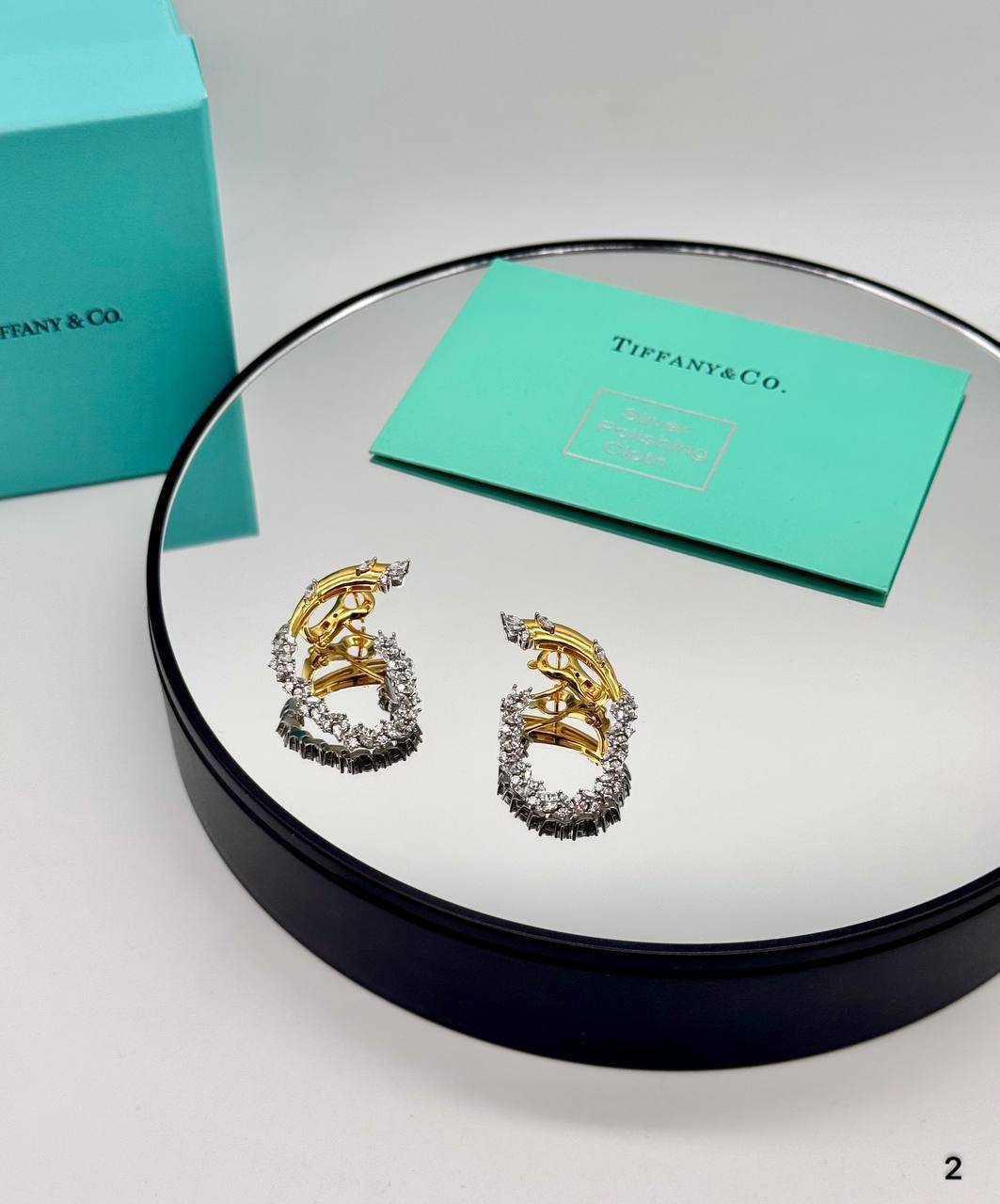Фото Серьги Tiffany & Co S9728