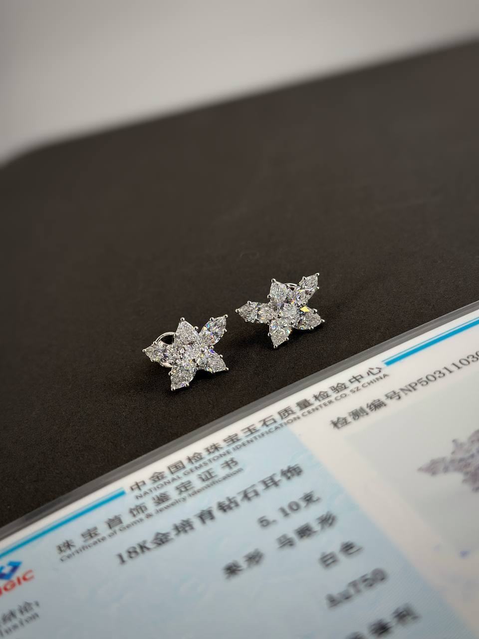Фото Серьги Graff S9826