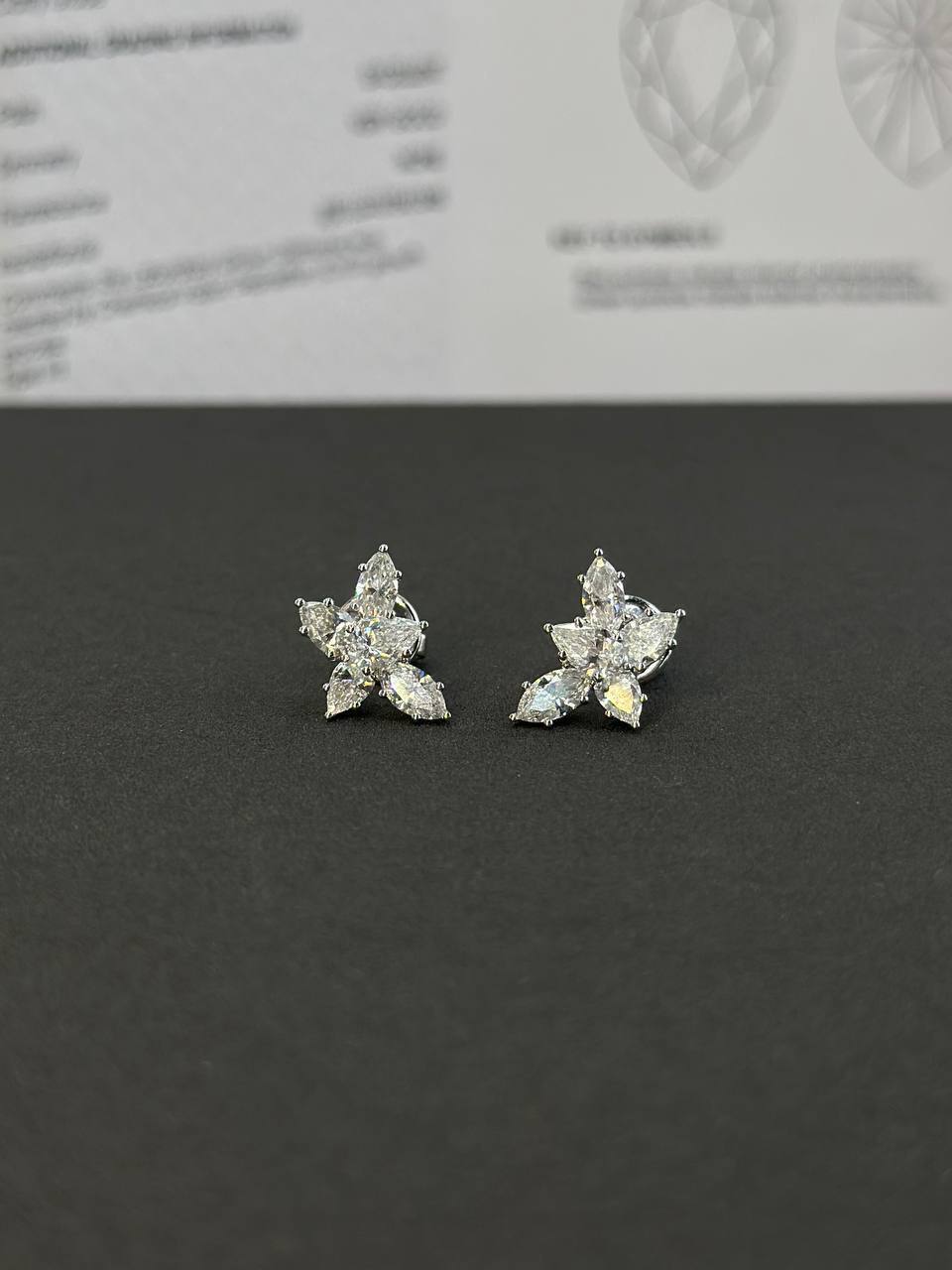 Фото Серьги Graff S9827
