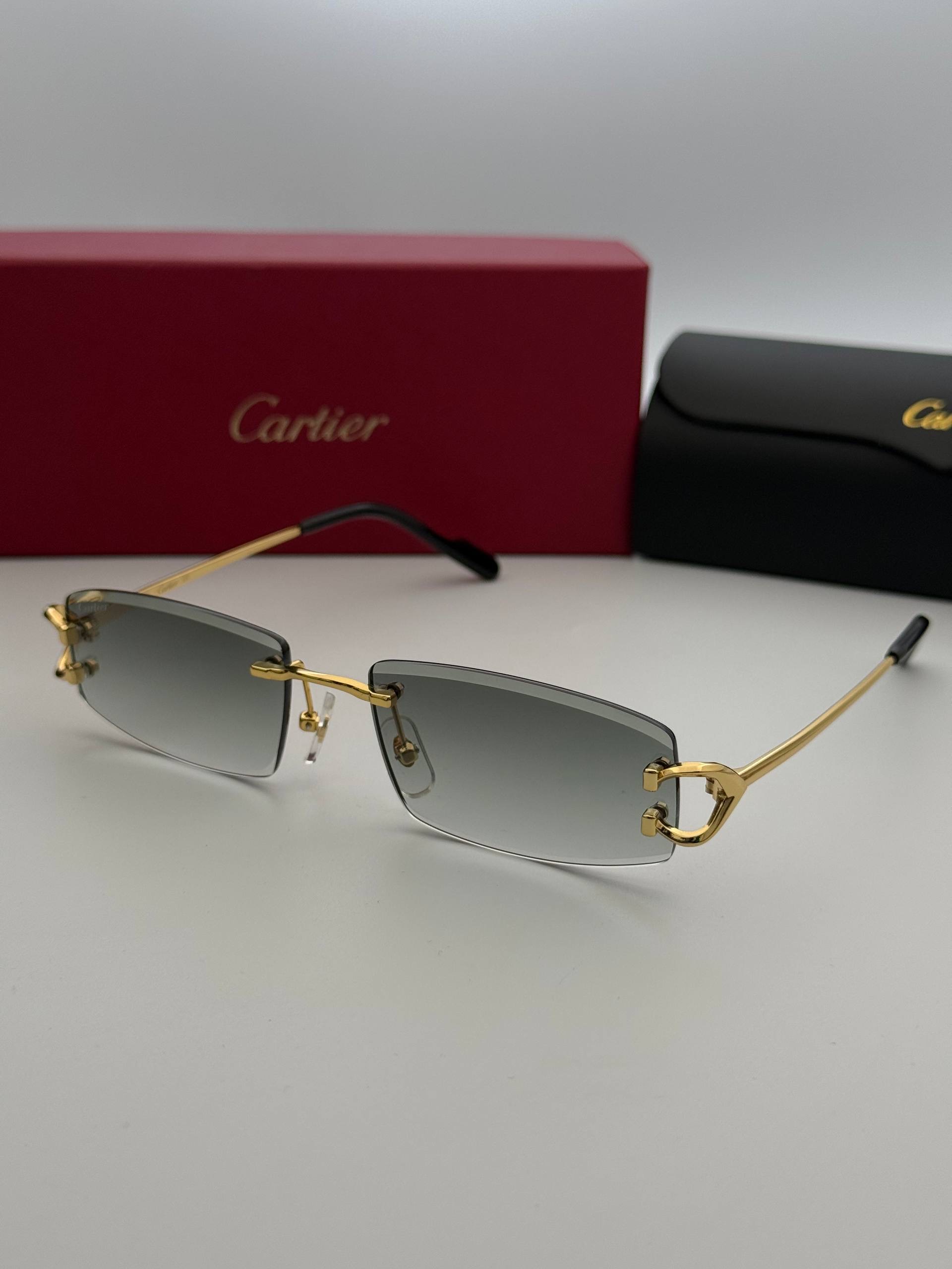 Фото Очки Cartier S11212