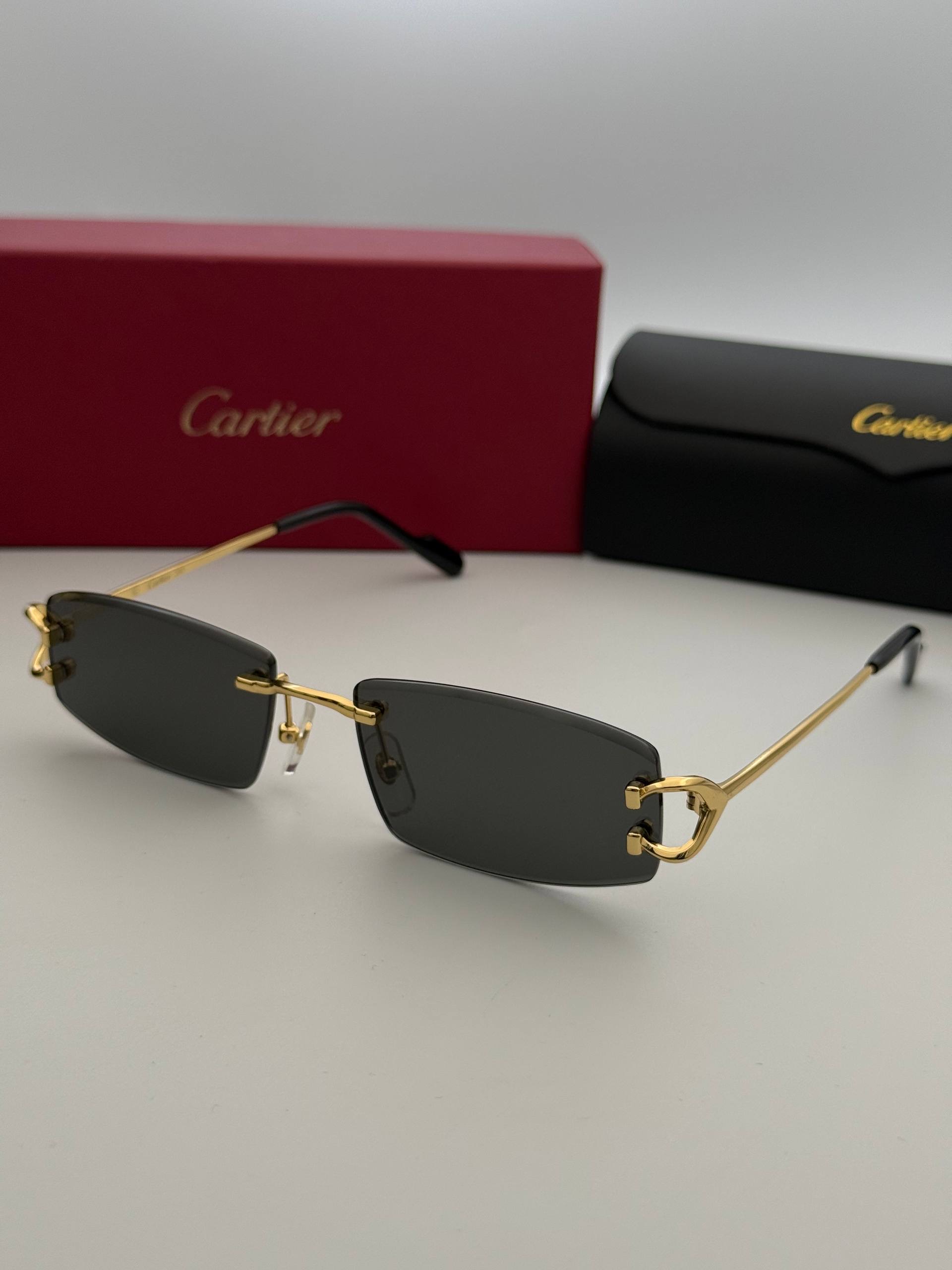 Фото Очки Cartier S11213