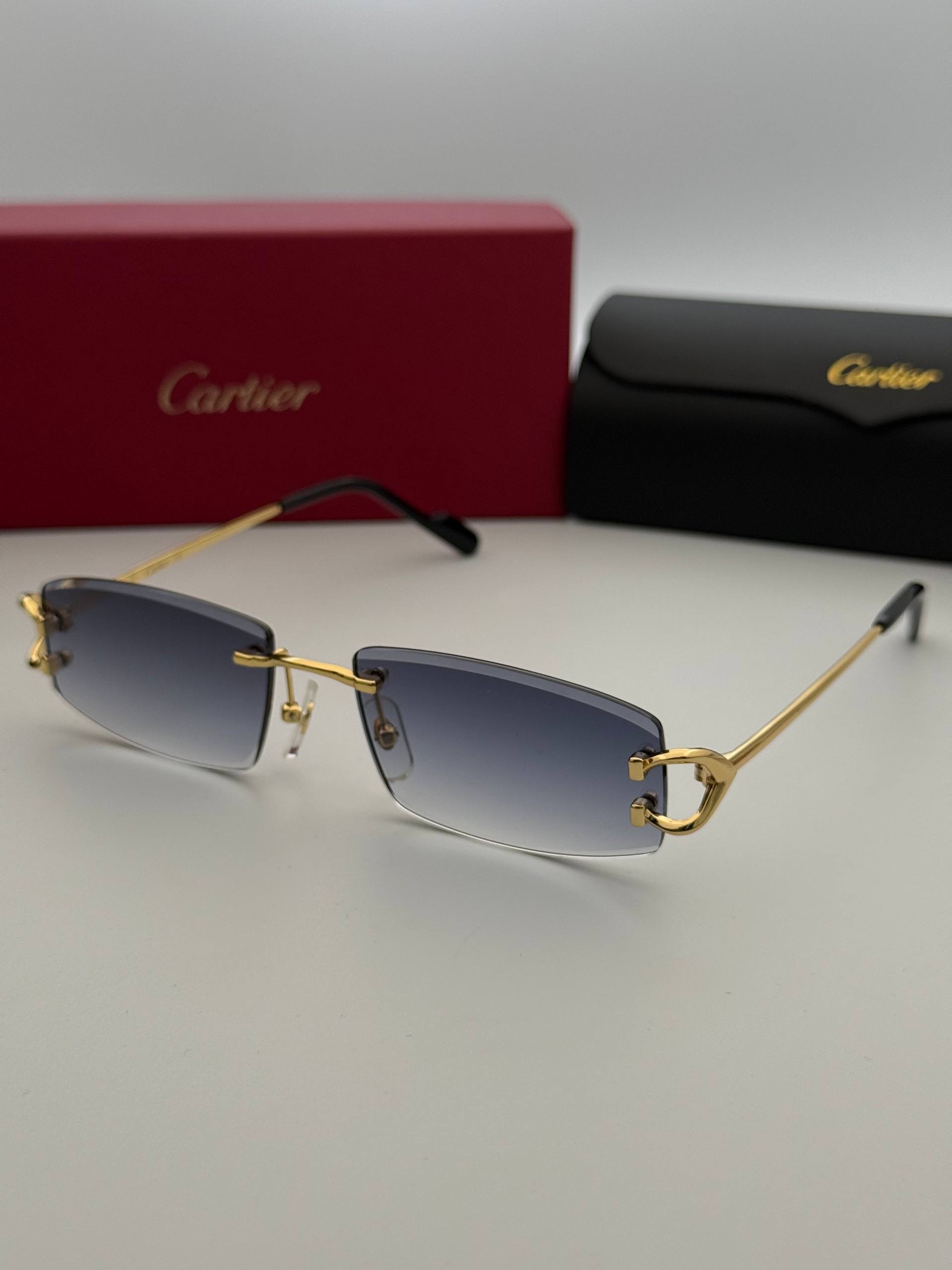 Фото Очки Cartier S11214