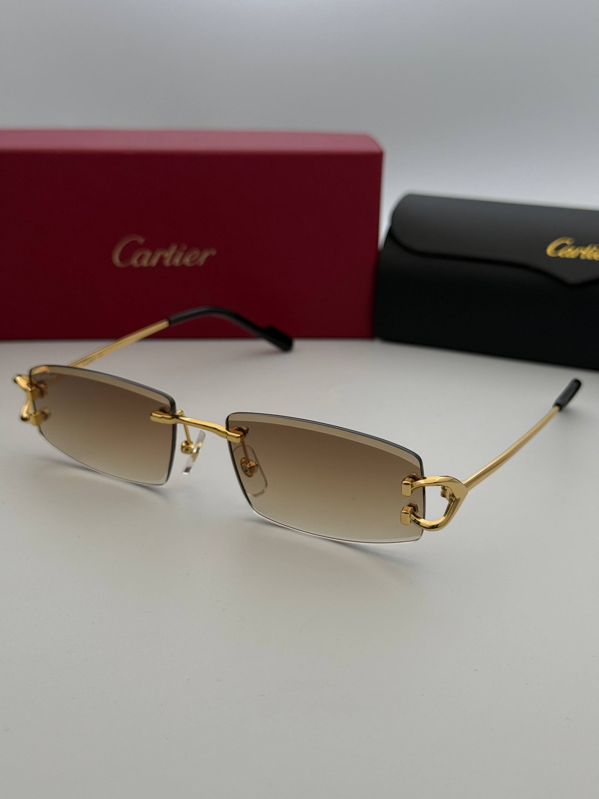 Фото Очки Cartier S11215