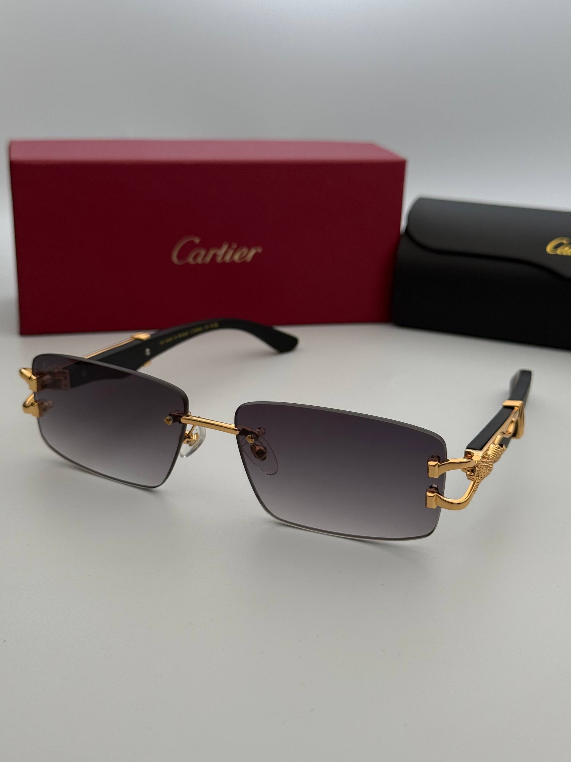 Фото Очки Cartier S11218