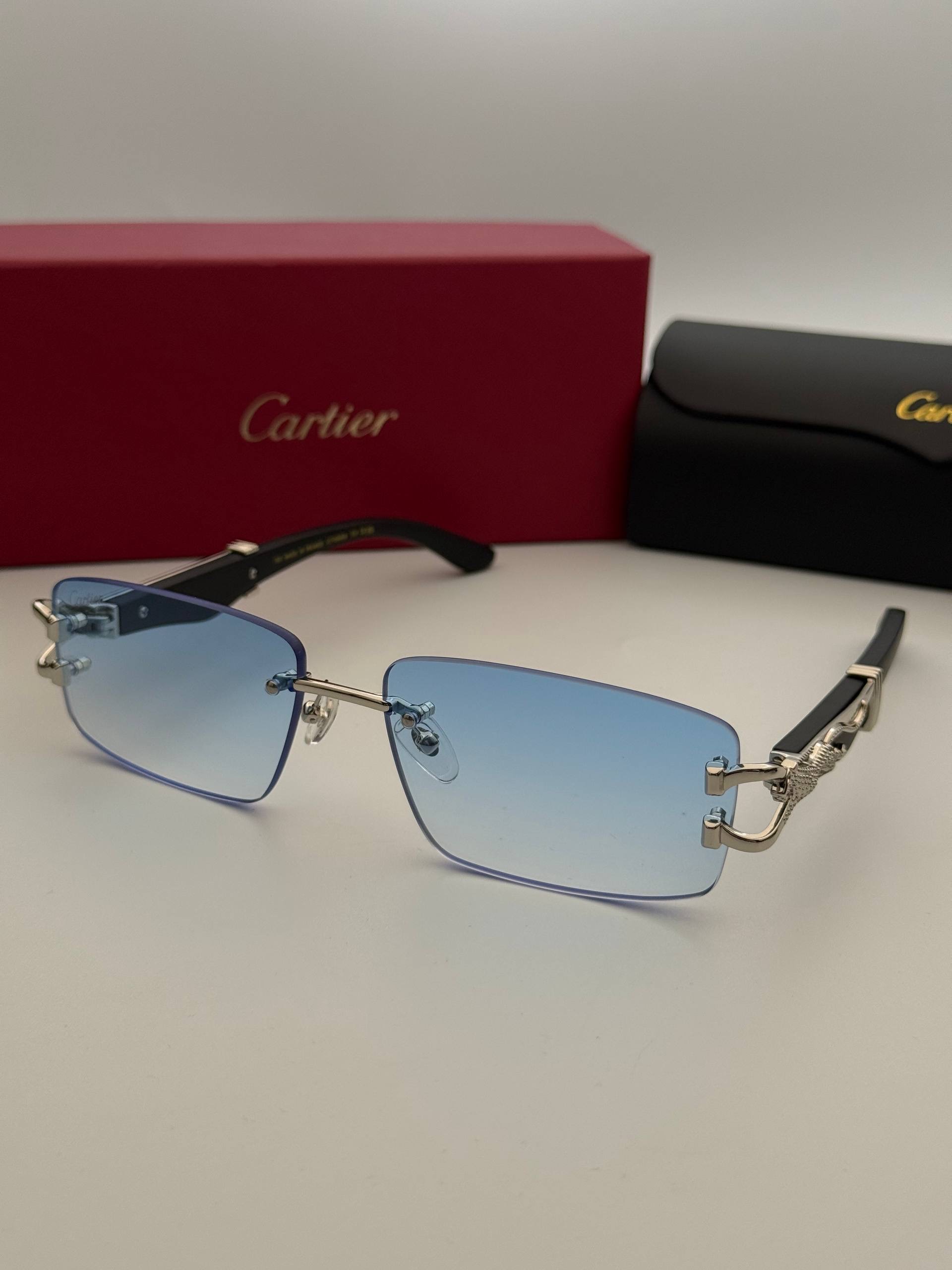 Фото Очки Cartier S11219